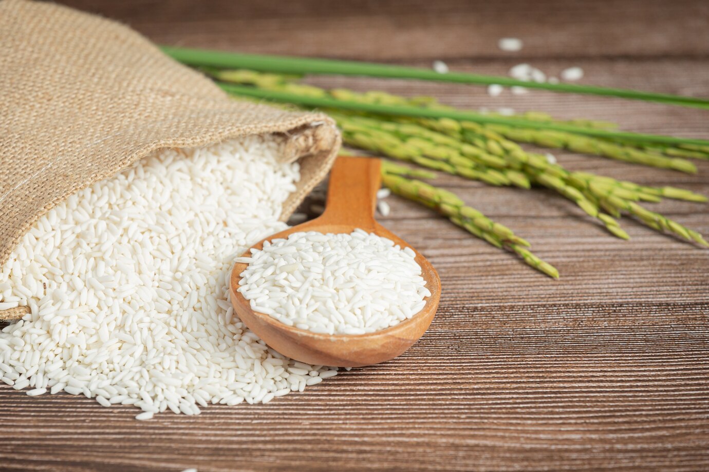 Giấc mơ thấy lúa gạo thường mang ý nghĩa thành công, sự đủ đầy và hạnh phúc