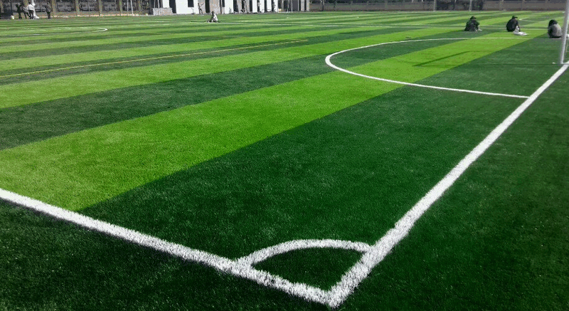 Lựa chọn cỏ nhân tạo cho sân bóng mini